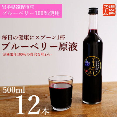 【ふるさと納税】【栽培期間中農薬不使用】遠野のブルーベリーから絞った原液12本セット【1334418】
