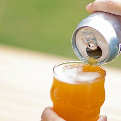 【ふるさと納税】【クラフトビール 】遠野醸造 缶ビール 4種 4本 詰め合わせ セット【配送不可地域：離島】【1466324】
