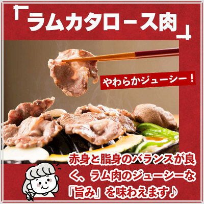 【ふるさと納税】秘伝のタレ漬け熟成 ジンギスカン ラムカタロース 120g×3袋/5袋 冷凍 あんべ 安部商店【配送不可地域：離島】【G1475268】