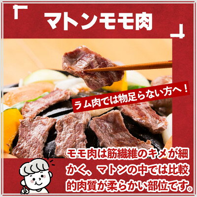 【ふるさと納税】秘伝のタレ漬け 熟成 ジンギスカン マトンモモ 120g×3袋/5袋 冷凍 あんべ 安部商店【配送不可地域：離島】【G1475273】