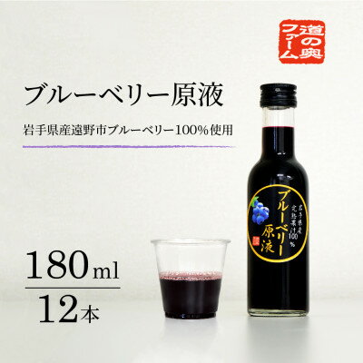【ふるさと納税】【栽培期間中農薬不使用】遠野のブルーベリーから絞った原液180ml×12本セット 道の奥ファーム【1476690】