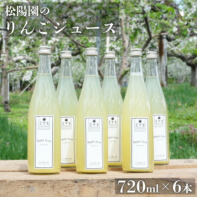 【ふるさと納税】松陽園 りんごジュース 720ml×6本セット 遠野産りんご100%使用【1511274】