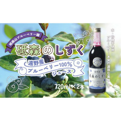 【ふるさと納税】砥森のしずくブルーベリージュース 果汁100% 720ml×2本 岩手県遠野市 砥森山ブルーベリー園【1583507】