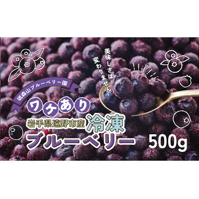 【ふるさと納税】訳あり 冷凍 ブルーベリー 500g 岩手県遠野市 砥森山ブルーベリー園 栽培期間中農薬不使用【配送不可地域：離島】【1583535】