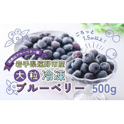【ふるさと納税】大粒 冷凍 ブルーベリー 500g 砥森山ブルーベリー園 岩手県遠野市 栽培期間中農薬不使用【配送不可地域：離島】【1583545】