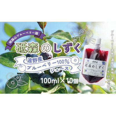 【ふるさと納税】砥森のしずく ブルーベリージュース 果汁100% 100ml×10個 遠野市 砥森山ブルーベリー園【1583564】