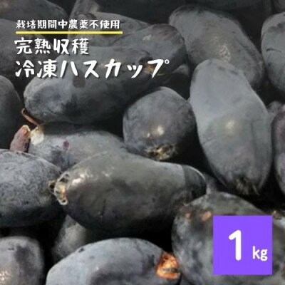 冷凍 ハスカップ 1kg 栽培期間中 農薬不使用 農家 直送 遠野もぐもぐカントリー[配送不可地域:離島]