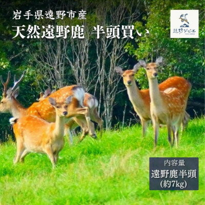 【ふるさと納税】遠野鹿 半頭買い 7kg | 遠野ジビエの里【配送不可地域：離島・沖縄県・九州】【1655075】