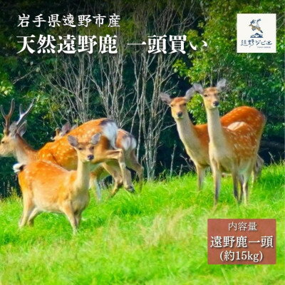 遠野鹿 1頭買い 14kg程度 | 遠野ジビエの里[配送不可地域:離島・沖縄県・九州]