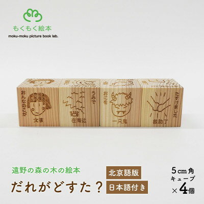 【ふるさと納税】遠野の森の木の絵本 「 だれがどすた? 北京語 版 (日本語付き:女の子)」 もくもく絵本研究所【1693713】