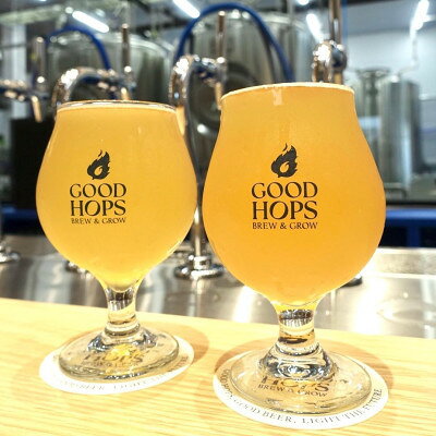 【ふるさと納税】クラフトビール GOOD HOPS おまかせ 飲み比べ 12本 セット 缶ビール 詰め合わせ【配送不可地域：離島】【1702992】