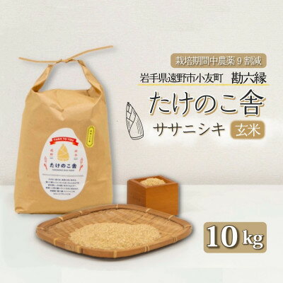 楽天市場】タケノコ 10kg 送料無料の通販