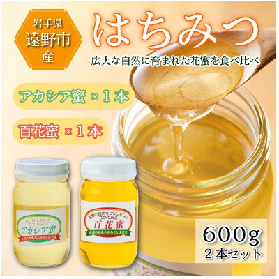 【ふるさと納税】アカシア / 百花蜜 蜂蜜 600g 2本セット 岩手県 遠野産 馬場光男【1742301】