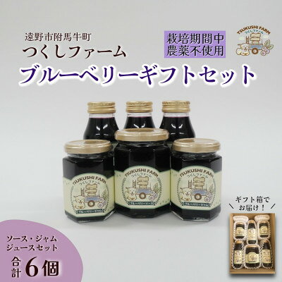 ブルーベリージュース&ジャム&ソース 合計6個セット 栽培期間中農薬不使用 つくしファーム 遠野