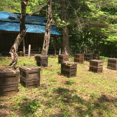 【ふるさと納税】菊常養蜂園 季節のおすすめはちみつ おまかせセレクト3個入【1743146】