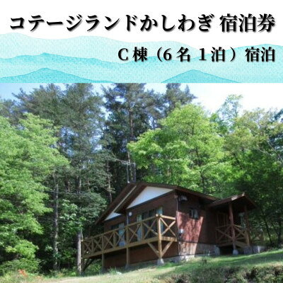 【ふるさと納税】行こう!コテージ。遠野の自然を満喫(6名) 岩手県 遠野市 柏木平レ...