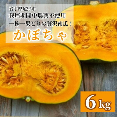 [甘い粉質系]かぼちゃ(6kg)栽培期間中農薬、動物性化成等不使用 遠野もぐもぐカントリー