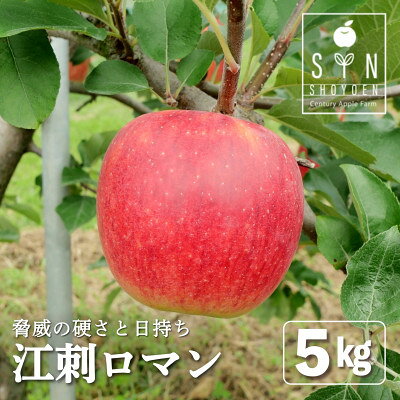 【ふるさと納税】りんご 早生 江刺ロマン 5kg 松陽園 樹上完熟 農家直送 岩手県 遠野市 先行予約【配送不可地域：離島】【1768593】