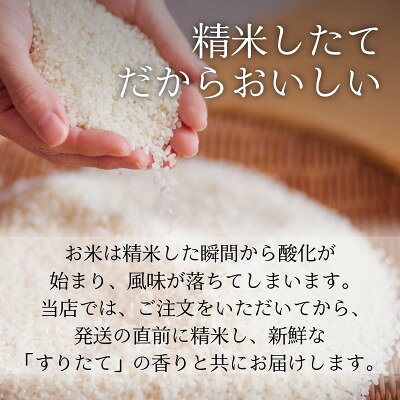 【ふるさと納税】令和8年産 新米 ひとめぼれ 10kg 岩手県 遠野産 農家直送 精米したてをお届け【はまだ農園】【1789599】 f032085-tono-10002043 岩手県遠野市 サンプル画像3