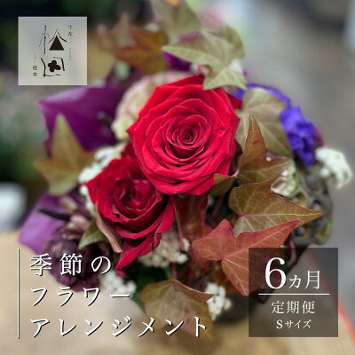【ふるさと納税】【毎月定期便】松田生花店の季節のフラワーアレンジメント Sサイズ全6回【配送不可地域：離島】【4050663】