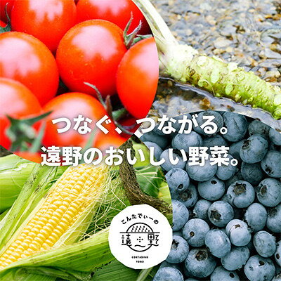 【ふるさと納税】【毎月定期便】旬のとれたて野菜セット(5~7品)ライトサイズ【こんたでぃーの遠野】全3回【配送不可地域：離島】【4066184】