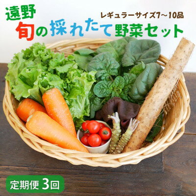 [毎月定期便]旬のとれたて野菜セット(7〜10品)レギュラーサイズ[こんたでぃーの遠野]全3回[配送不可地域:離島]