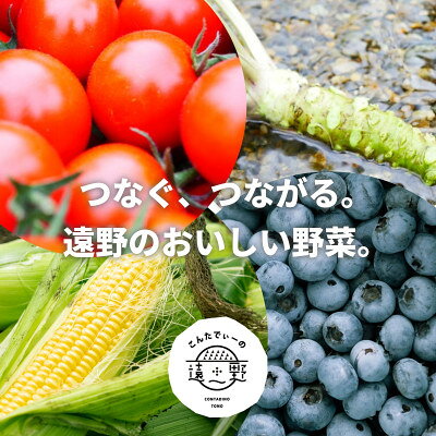 【ふるさと納税】【毎月定期便】旬のとれたて野菜セット(7～10品)レギュラーサイズ【こんたでぃーの遠野】全3回【配送不可地域：離島】【4066189】