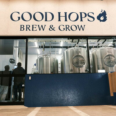 【ふるさと納税】【毎月定期便】クラフトビール GOOD HOPS おまかせ 飲み比べ 6本セット全12回【配送不可地域：離島】【4082164】