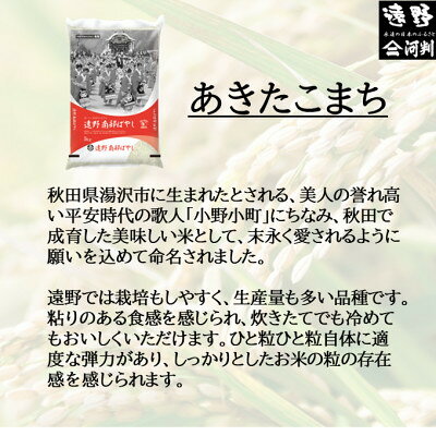 【ふるさと納税】【毎月定期便】遠野産 あきたこまち 精米 5kg 河判全3回【4086457】
