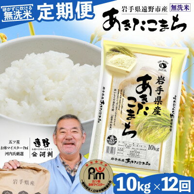 【ふるさと納税】【毎月定期便】〈無洗米〉岩手県 遠野市産 あきたこまち 10kg 【 ...