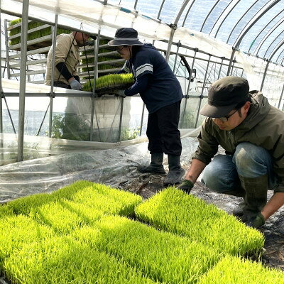 【ふるさと納税】【毎月定期便】ササニシキ 白米 精米 5kg 岩手県遠野市 勘六縁「たけのこ舎」全12回【4088044】 f032085-tono-10001719 岩手県遠野市 サンプル画像2