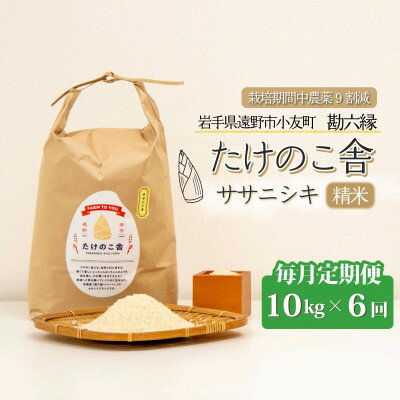 N゜/　小さな筍　10キロ 楽天市場】タケノコ 10kg 送料無料の通販