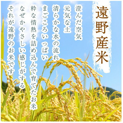 【ふるさと納税】【毎月定期便】無洗米 岩手県 遠野市産 ひとめぼれ 5kg 【 コメマルシェ 河判 】全3回【4089941】