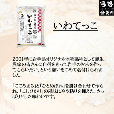 【ふるさと納税】【毎月定期便】岩手県 遠野産 いわてっこ 精米 5kg 河判全3回【4089948】 f032085-tono-10001937 岩手県遠野市 サンプル画像3