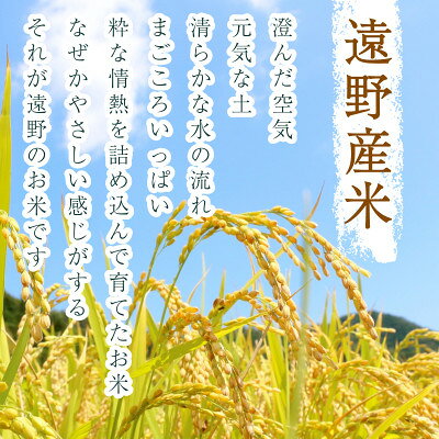 【ふるさと納税】【毎月定期便】〈無洗米〉岩手県 遠野市産 あきたこまち 10kg 【 河判 】全12回【4089981】