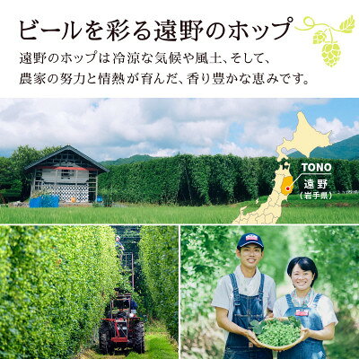 【ふるさと納税】キリン 一番搾り とれたてホップ 生ビール 500ml×24本 5ケース【複数個口で配送】【4091271】 f032085-tono-10002006 岩手県遠野市 サンプル画像3