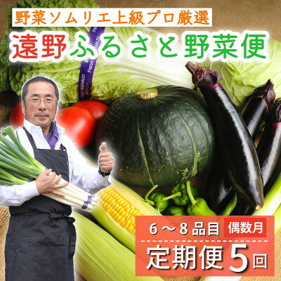 【ふるさと納税】【発送月固定定期便】遠野ふるさと野菜便 野菜ソムリエ 厳選 詰め合わせセット 岩手県遠野市 全5回【配送不可地域：離島】【4092423】