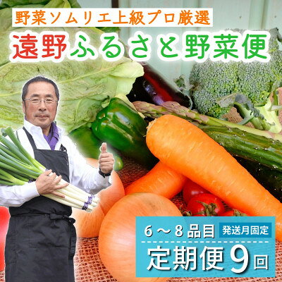 【ふるさと納税】【発送月固定定期便】遠野ふるさと野菜便 野菜ソムリエ 厳選 詰め合わせセット 岩手県遠野市全9回【配送不可地域：離島】【4092654】