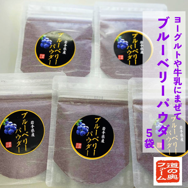 【ふるさと納税】 ブルーベリー パウダー 粉 30g 5袋 セット 無農薬 農薬不使用 道の奥ファーム 健康 美容 視力 目 キッズ 子ども ベビー 抗酸化作用 腸内環境 アントシアニン ポリフェノール …