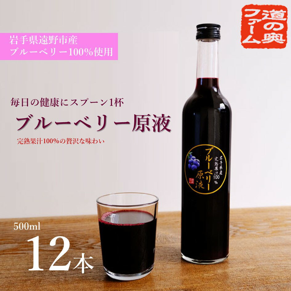 【ふるさと納税】遠野のブルーベリーから絞った原液 500ml 12本 セット 道の奥ファーム 果汁 100% ブルーベリー ストレート ジュース 国産 岩手県 遠野市 栽培中 農薬不使用 砂糖 保存料 無添加 健康 美容 目 遠野産 抗酸化 アントシアニン 朝食 加工食品 送料無料