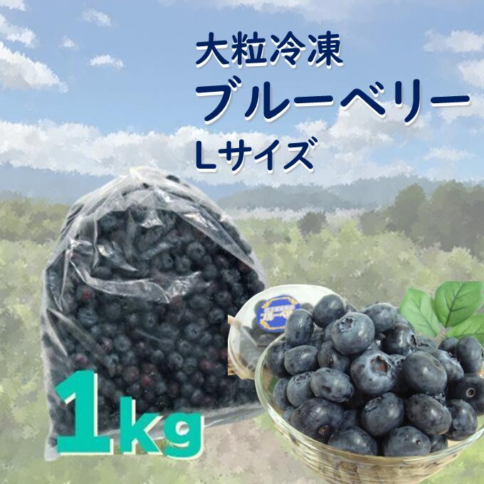 【ふるさと納税】ブルーベリー 冷凍 大粒 Lサイズ 1kg 道の奥ファーム 栽培期間中 農薬不使用 無農薬 国産 岩手県 遠野市 果実 フルーツ 果物 くだもの...