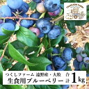 【ふるさと納税】ブルーベリー 500g × 2 パック 合計 1kg 完熟 生 大粒 果実 つくしファーム 生食用 先行予約 国産 岩手県 遠野市 産 栽培期間...
