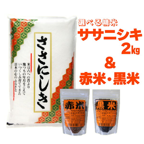 【ふるさと納税】寄附額変更 一関市花泉町産 進さんの ササニシキ 2kg ・ 古代米 セット 米