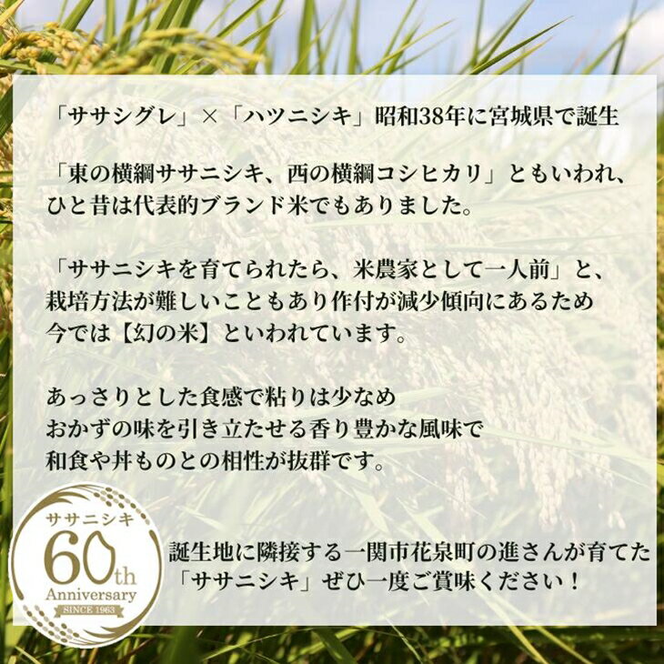 【ふるさと納税】定期便 3ヶ月 【無洗米】 ササニシキ 5kg ×3回（計15kg） 3times