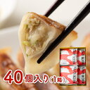 【ふるさと納税】岩手 いちのせき もち 餃子 40個(1袋10個×4袋)おもち入り 一関名物 手作り ギョウザ 肉汁 ジューシー もちもち食感 小野寺製麺 餅 ...