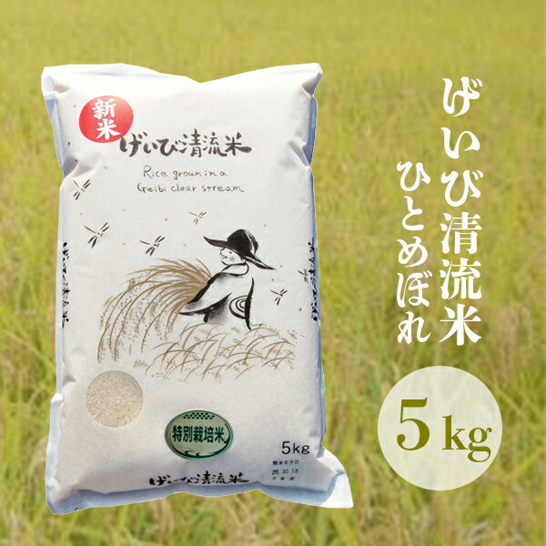 【ふるさと納税】令和4年 岩手県産 ひとめぼれ 「げいび清流米」5kg 岩手