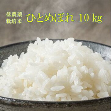 【ふるさと納税】《先行予約》毎月 定期便 12回 低農薬栽培米　ひとめぼれ 10kg お米