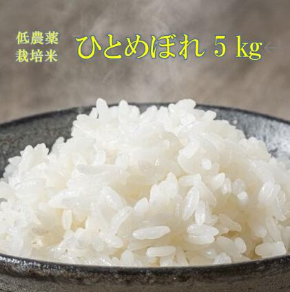 [ 新米先行予約 ]令和7年産 新米 低農薬栽培米 ひとめぼれ 5kg 精米 お米 ふるさと納税 ご飯 ごはん お弁当 おにぎり 東北 国産 送料無料 米 岩手県 一関市