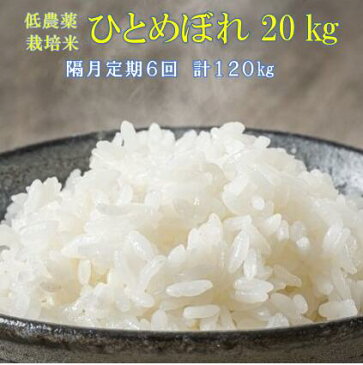 【ふるさと納税】《先行予約》隔月 定期便 6回 低農薬栽培米 ひとめぼれ 20kg お米