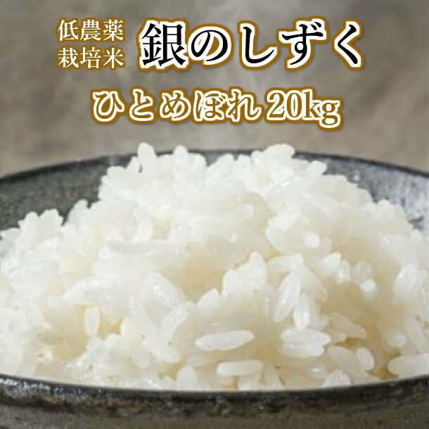 低農薬栽培米 銀のしずく ひとめぼれ kg 5kg 4 ふるさと納税バイブル